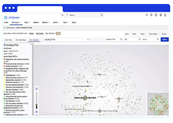 LifeSphere Safety dashboard